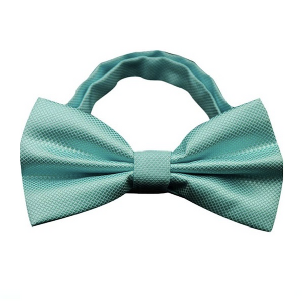 Sky Blue Bowtie