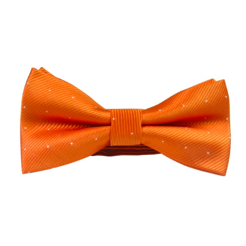 Sunset Bliss Bowtie