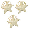 Star Hair Spiral Pin (Set of 3)