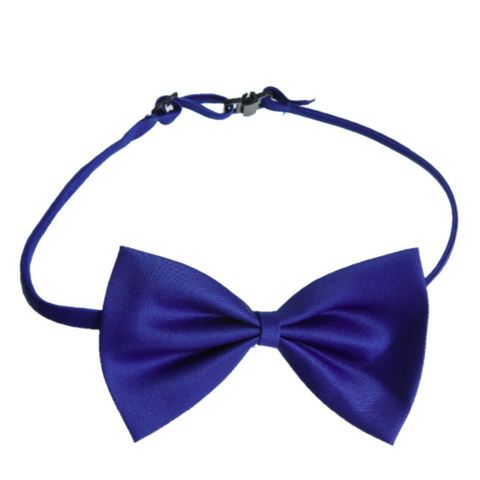 Electric Blue Polyester Bowtie