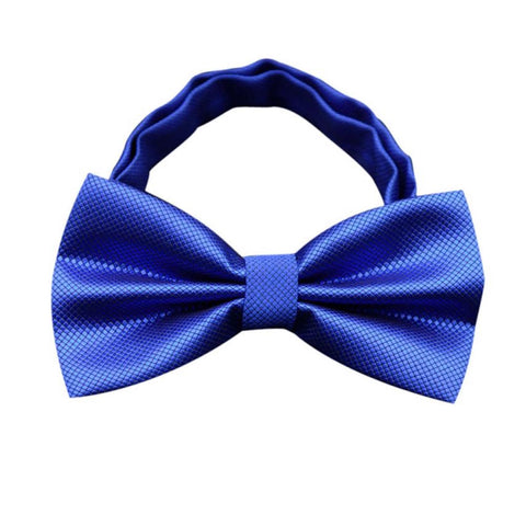 Electric Blue Bowtie
