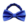 Electric Blue Bowtie