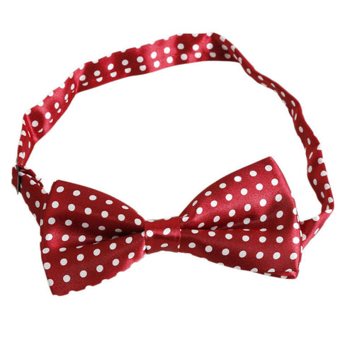 Polka Dots Bowtie