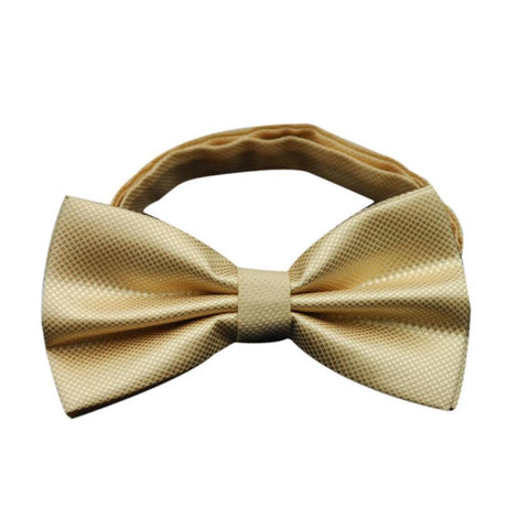 Golden Gaze Bowtie