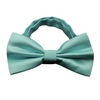 Sky Blue Bowtie