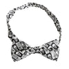 Skull & Spider Bowtie
