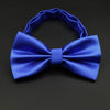 Electric Blue Bowtie