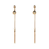 Chain Tassel Metal Earrings