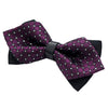 Prince Charming Bowtie