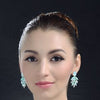 Multiple Feathers Earrings