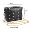 Golden Rivets Rectangle Sling Bag