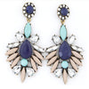 Drop Shourouk Dangle Earrings